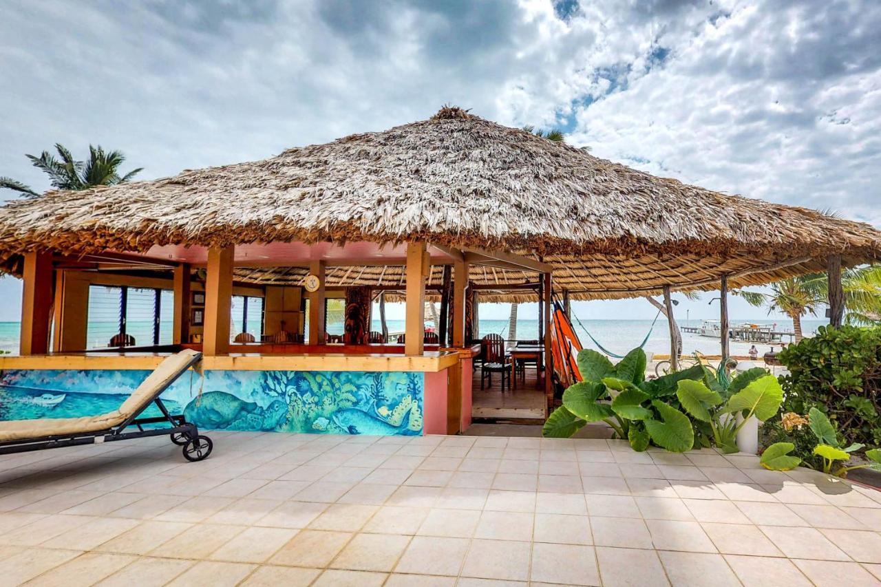 Ferienwohnung Palm @ Caribe Island San Pedro  Exterior foto